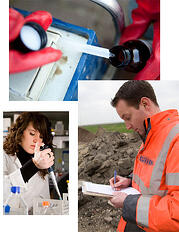 environmental consultant