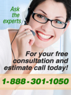 mold Cleanup