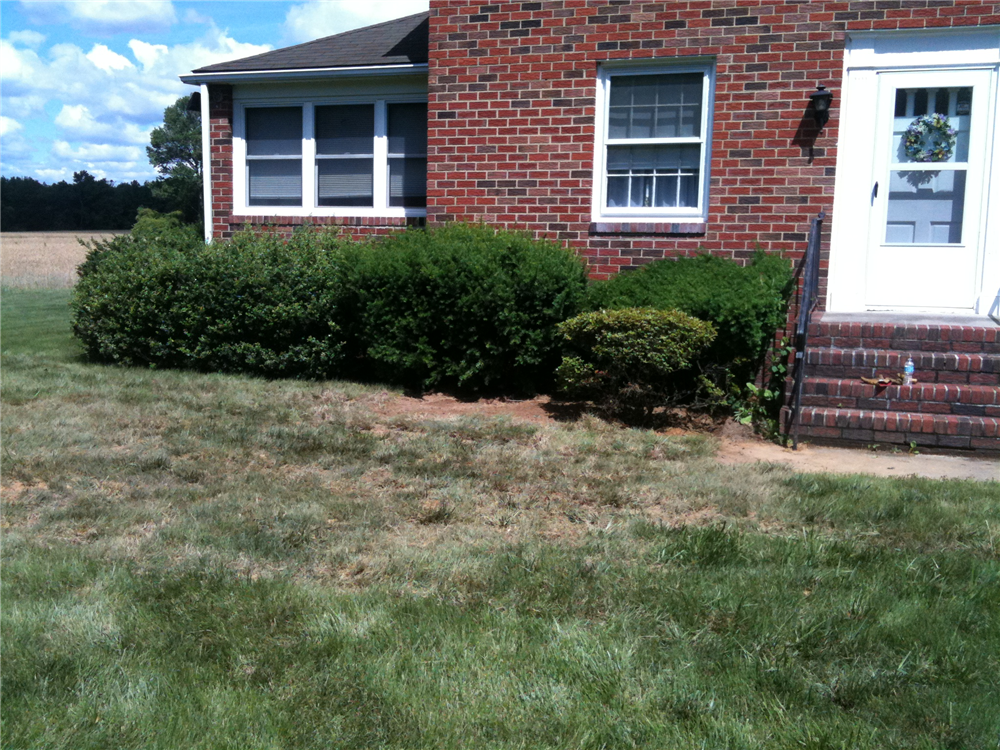 A buried oil tank is present in front of the bushes.