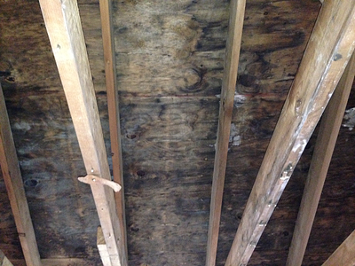 Mold remediation Mount Laurel