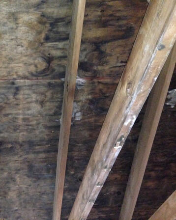 Mold Before