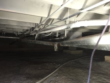 Mold remediation NJ PA DE