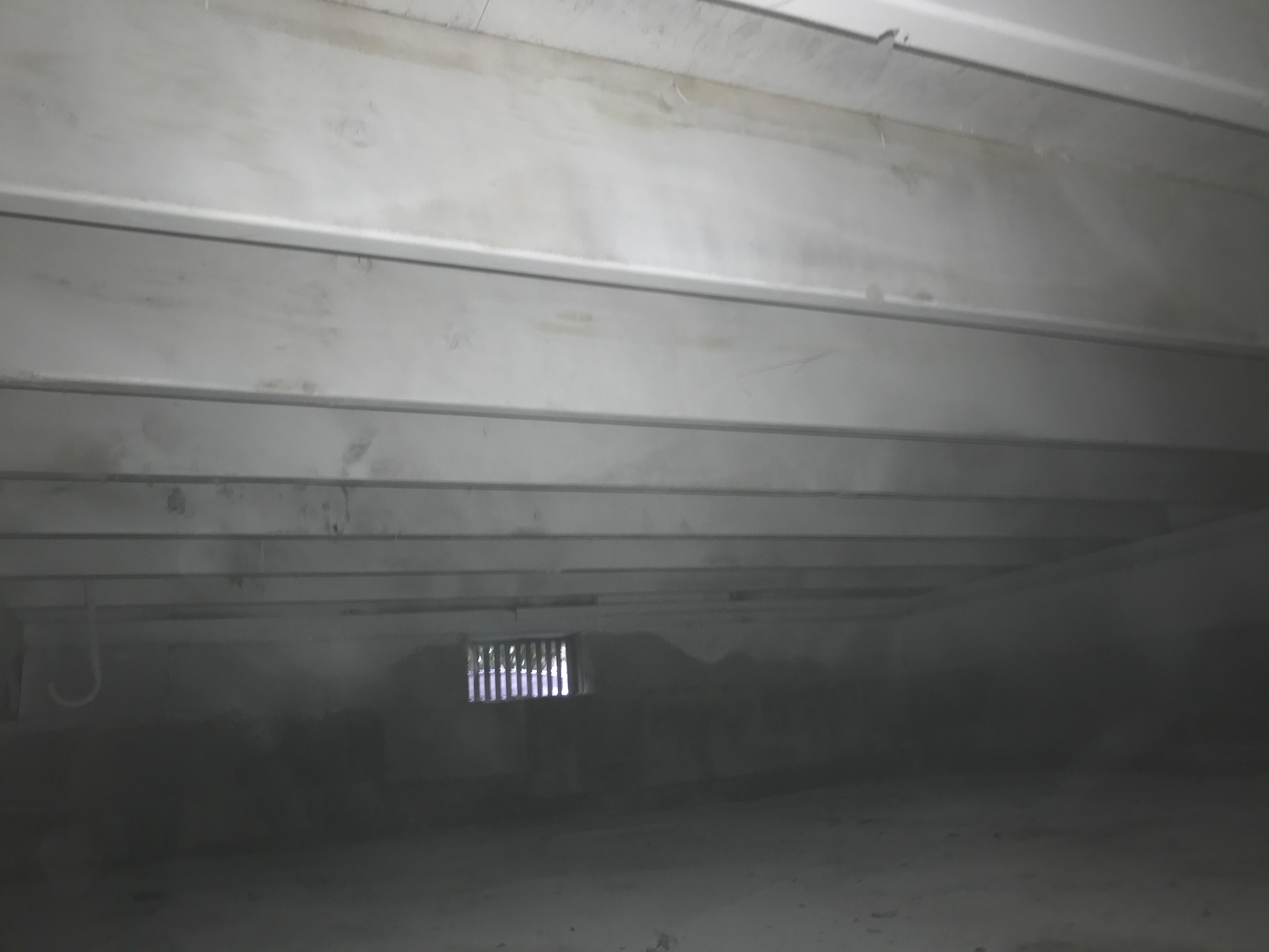 crawl space mold