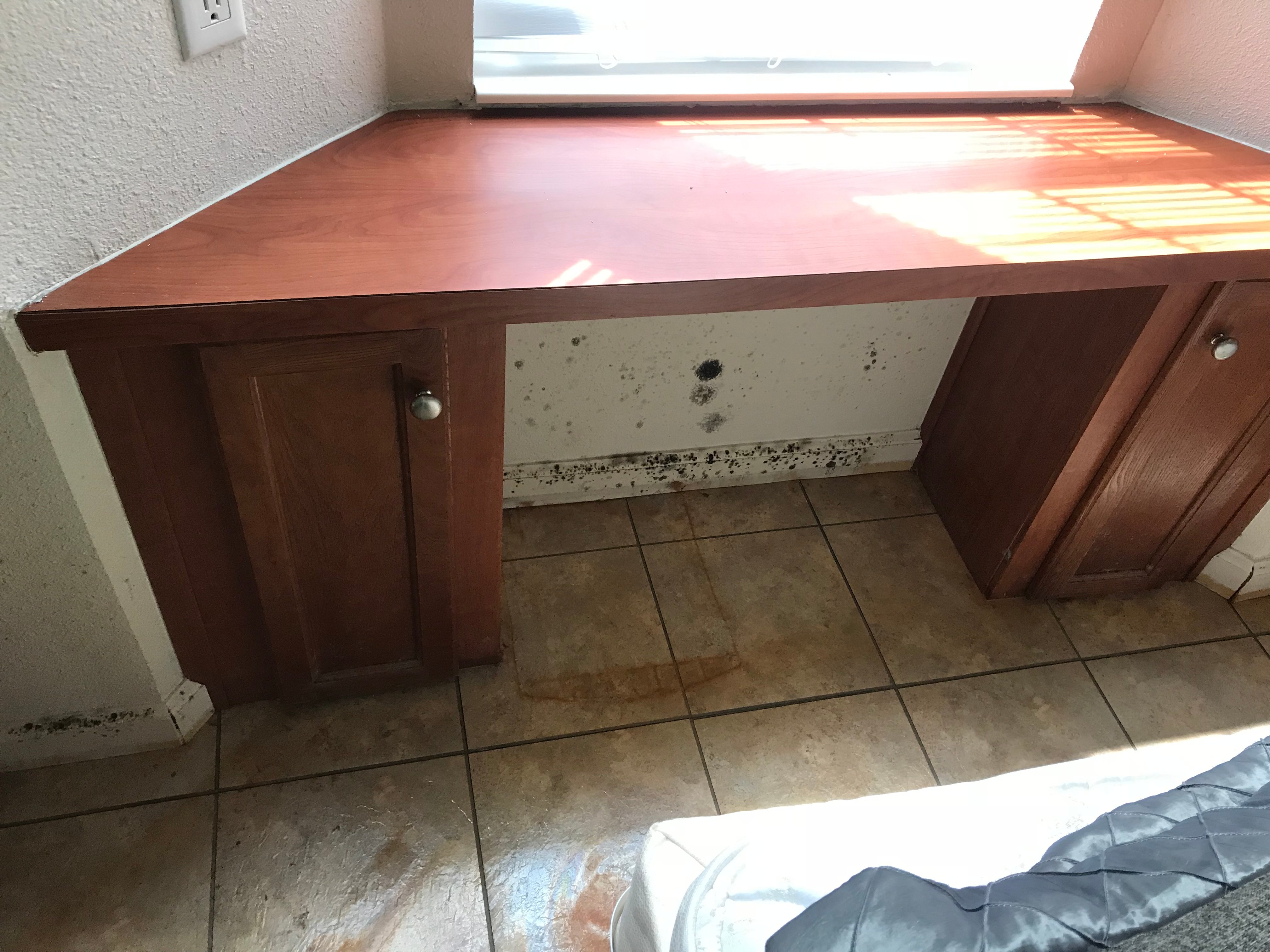 residential mold inspection