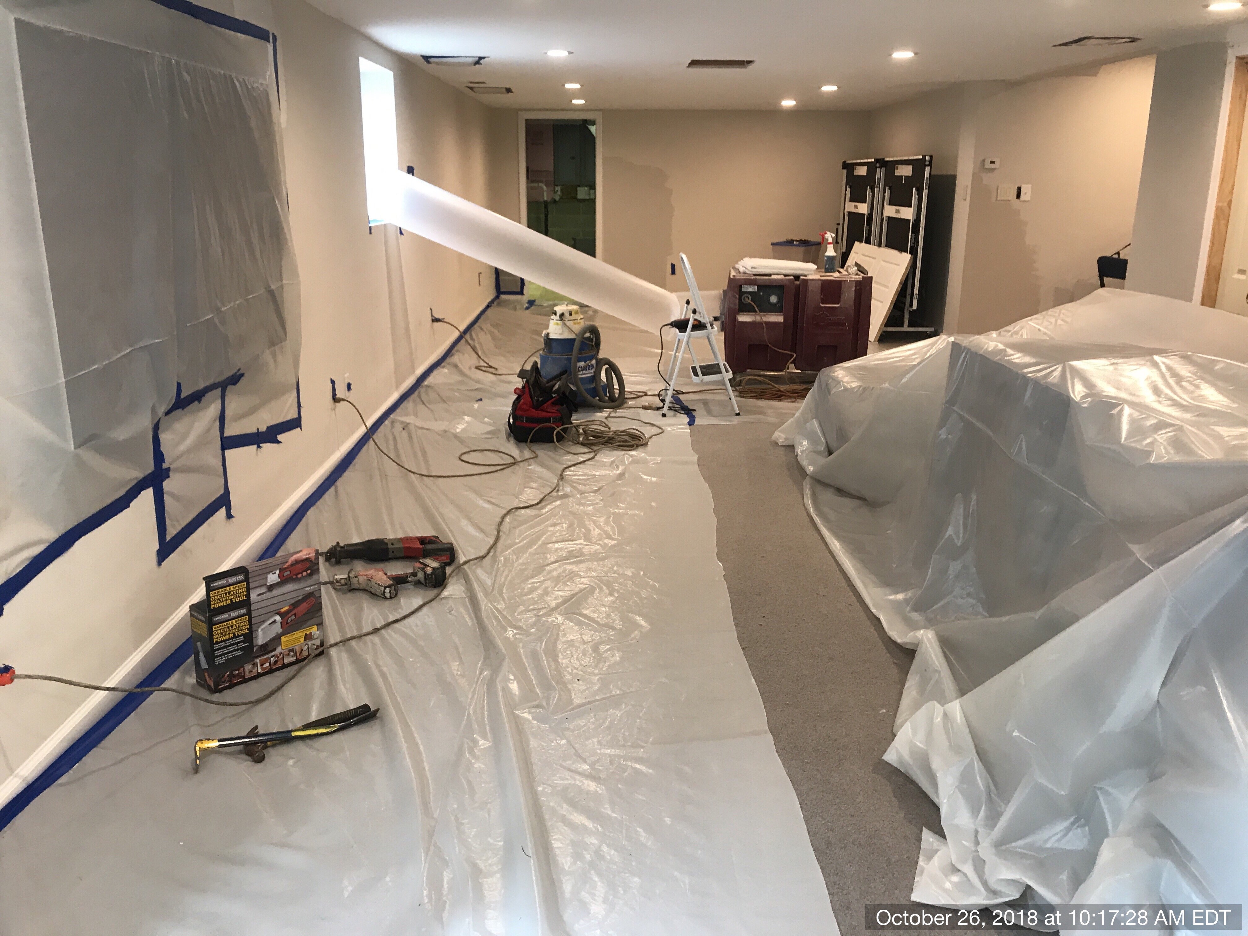 mold in flipped home