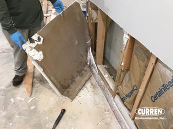 Mold Remediation Basement