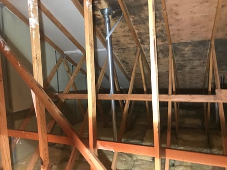 Attic Mold Removal