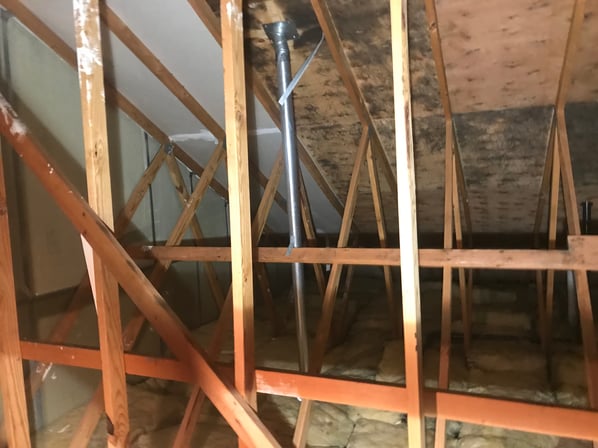 mold can grow in an attic