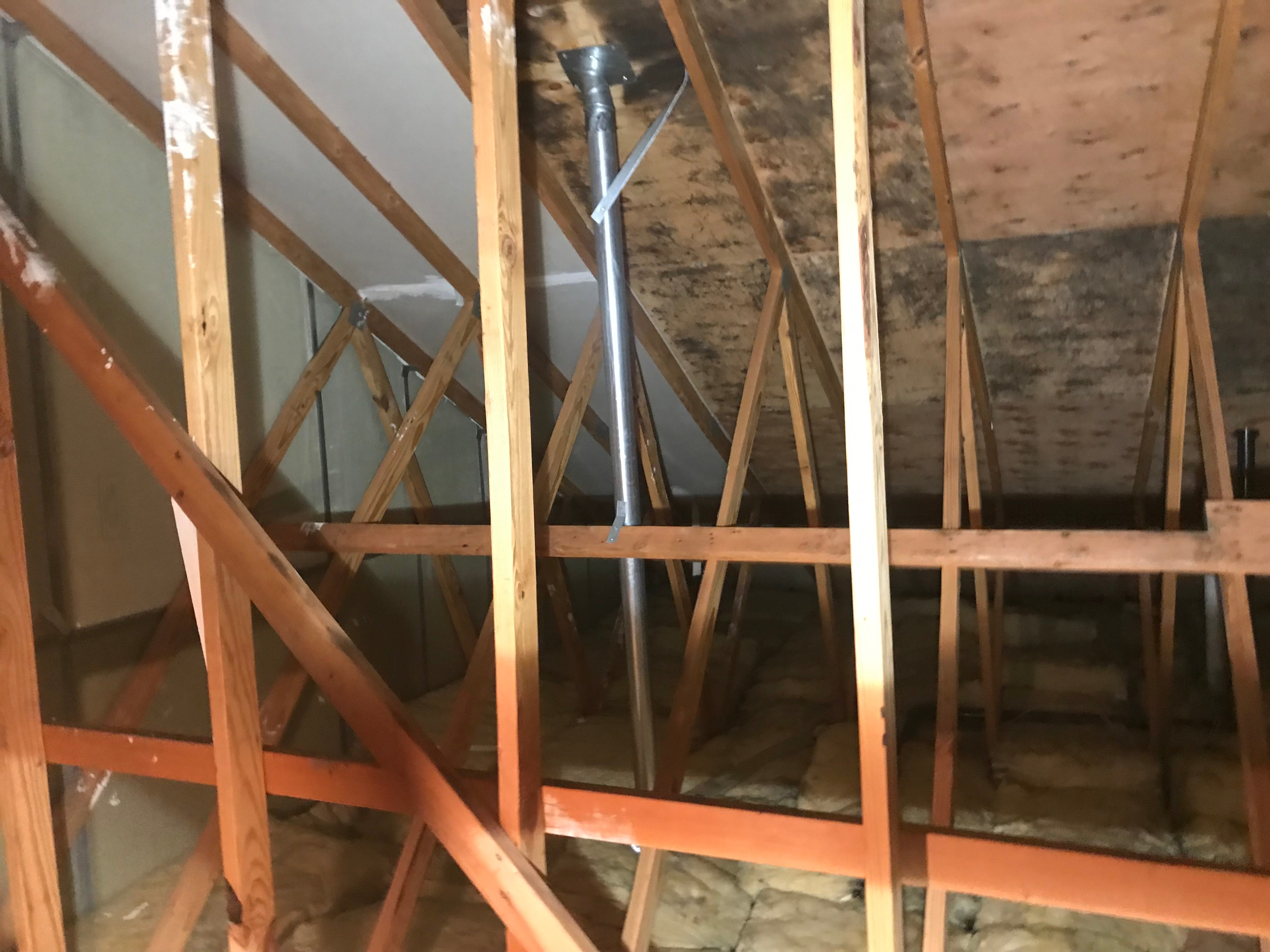 do i have mold