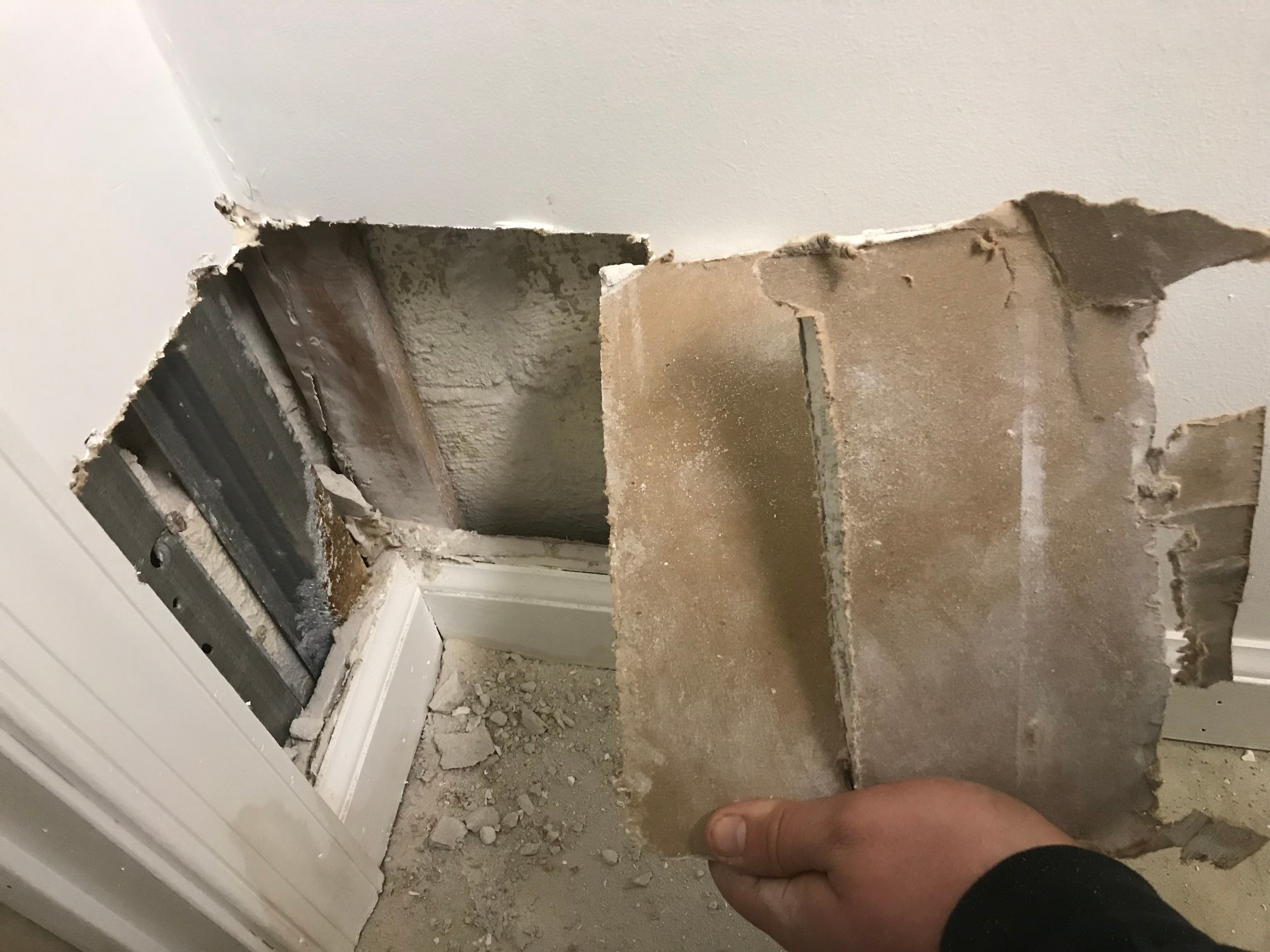 best mold inspection