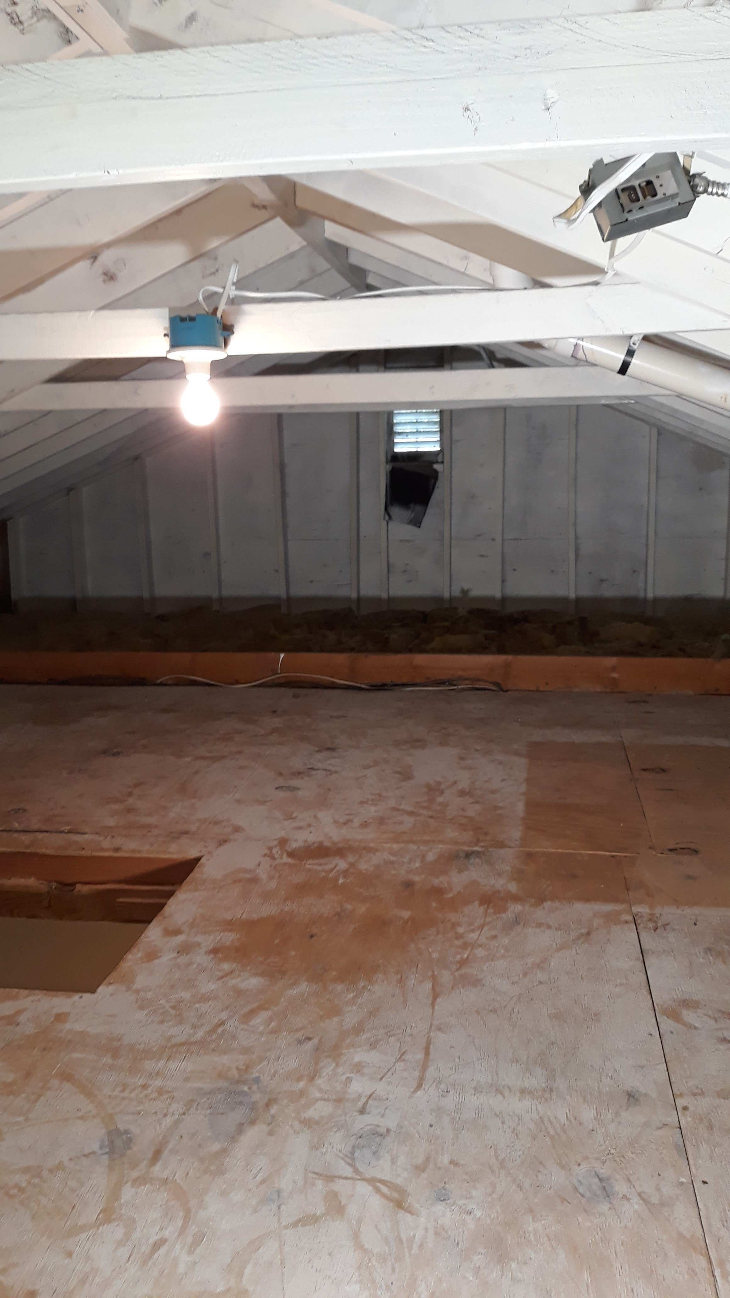 attic mold remediation