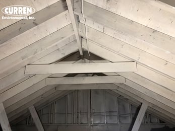 attic treated with anti mold coating - fungistatic coating