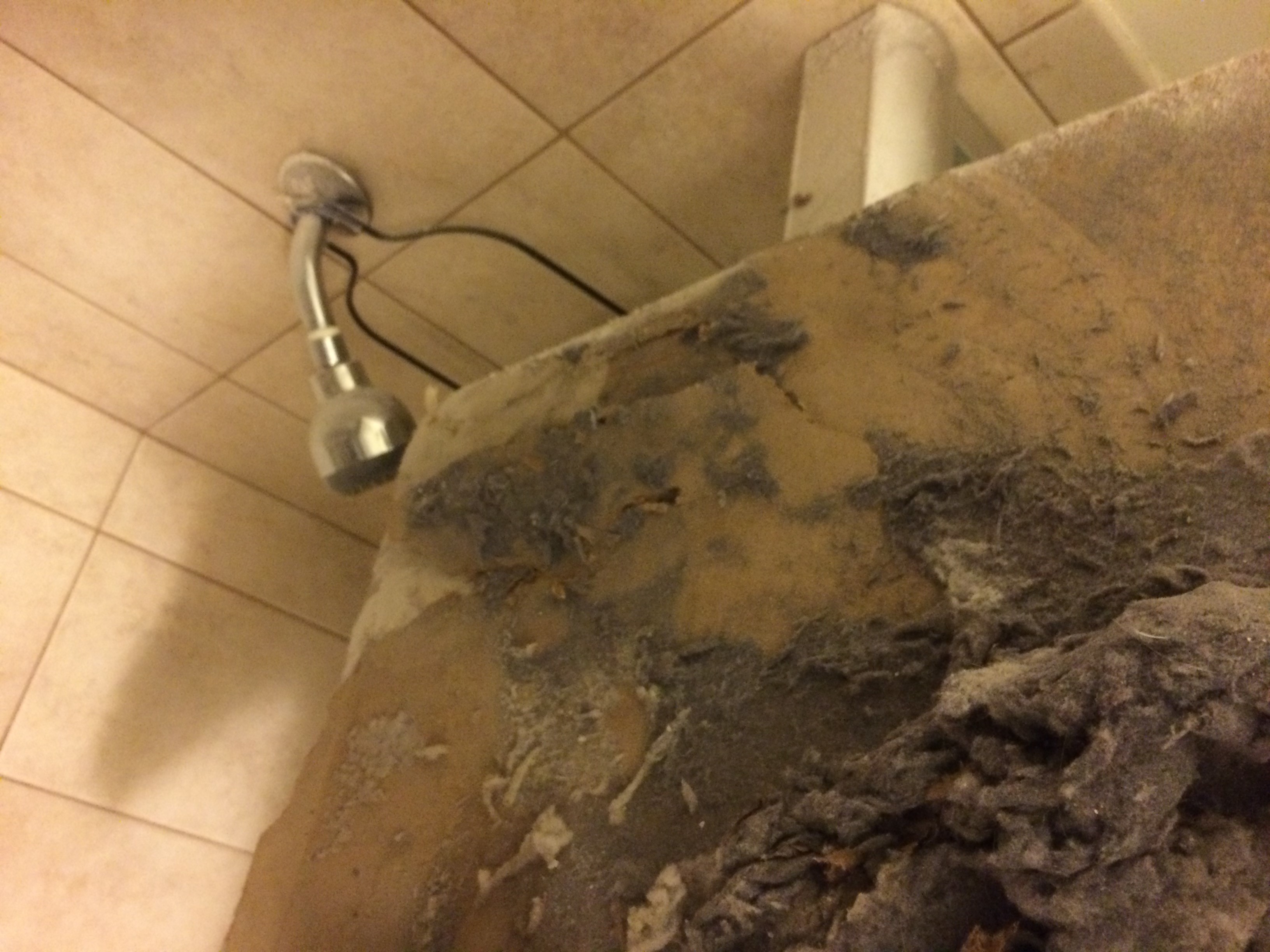 Condo Mold Inspections