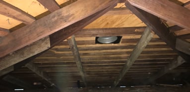inspect attics for mold