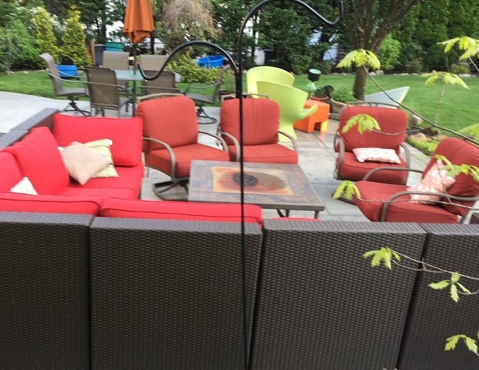 Backyard BBQ mosquito Free PIN