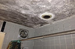 Bathroom_mold