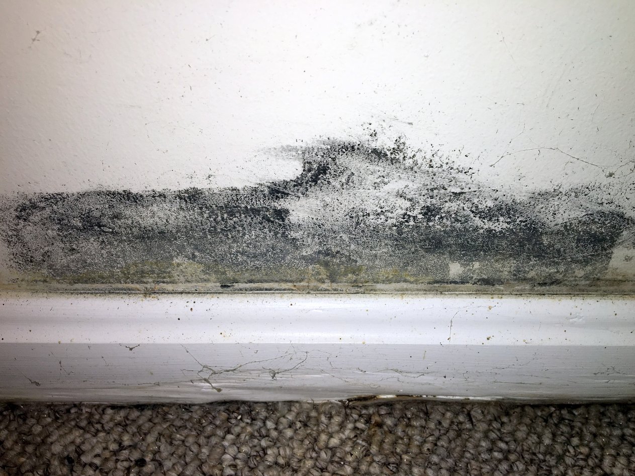 Close_up_baseboard.jpg Close_up_baseboard.jpg