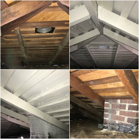 Attic  mold Remediation.jpg