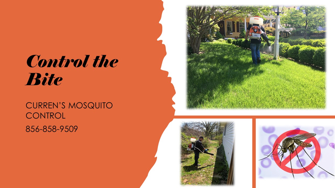 Control the Bite Mosquito Control-1