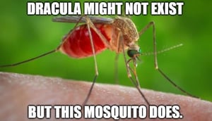 Dracula. Mosquito.Blood