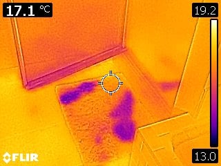 How to know if you need a mold inspection?