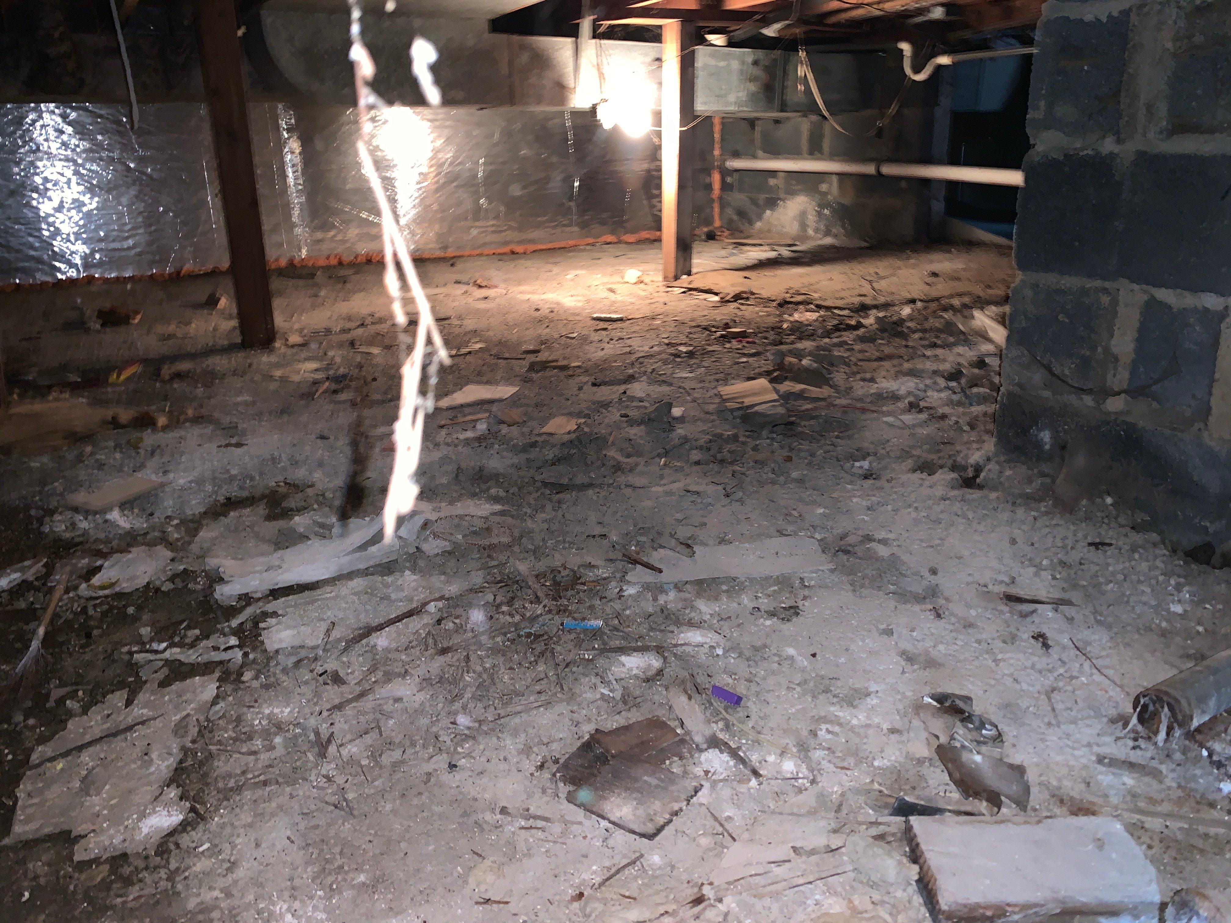 when should you do a mold inspection?
