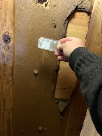 Free mold estimates