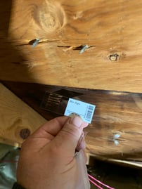 mold surface testing