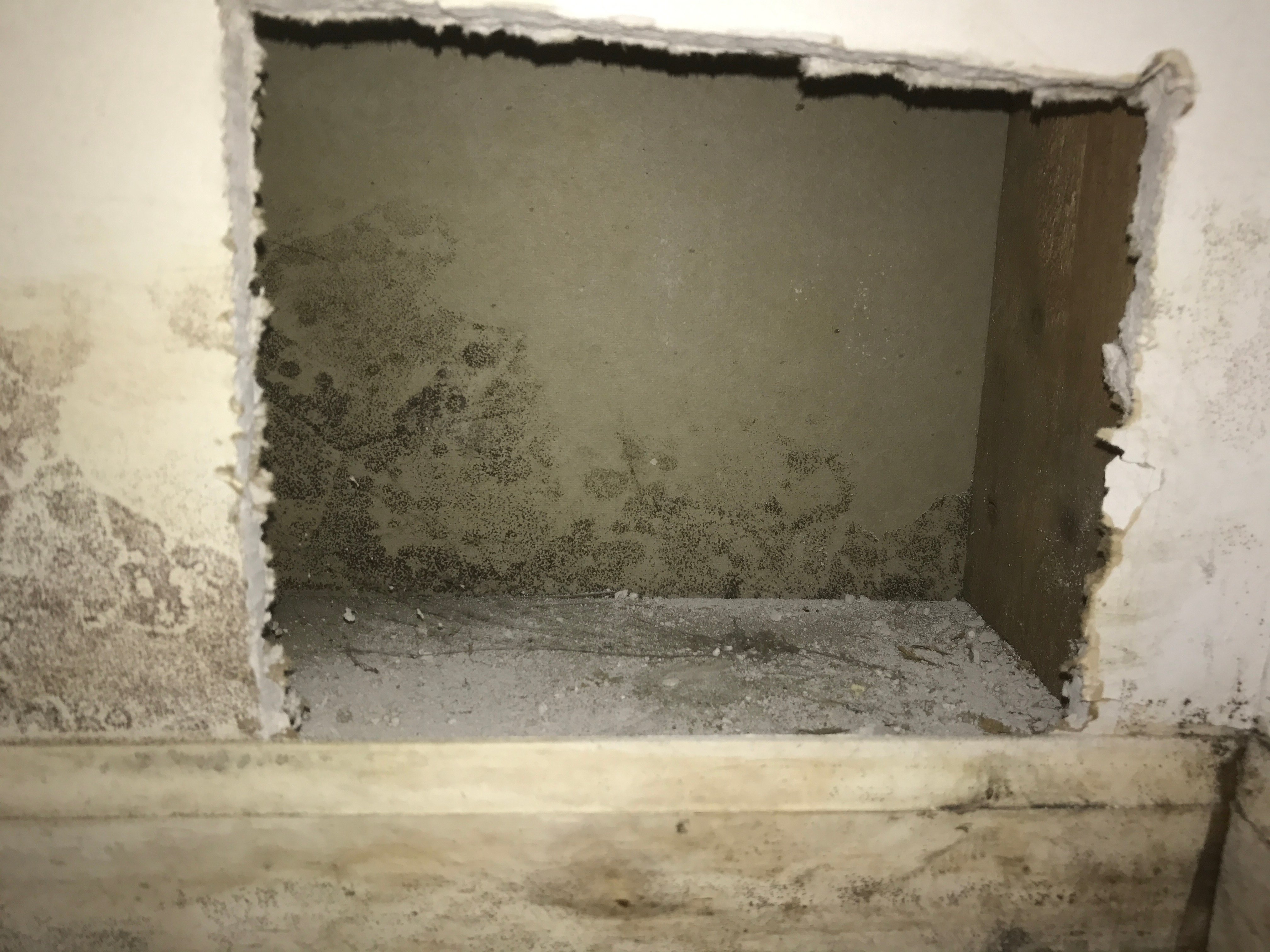 Mold remediation NJ