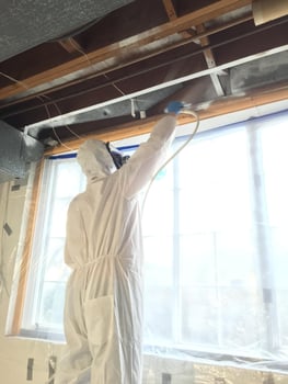 Mold Remediation