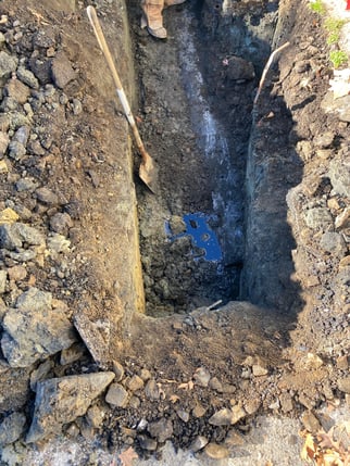 What do you do after a tank leaks?