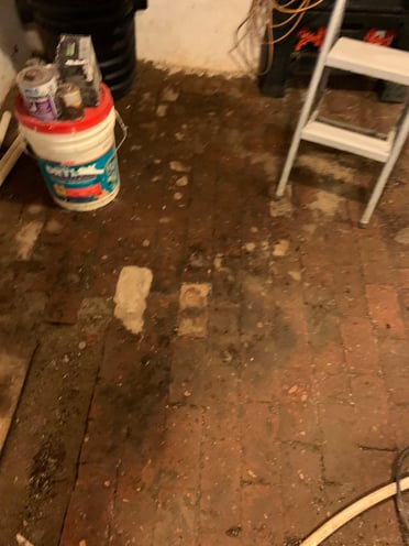 basement water causes mold