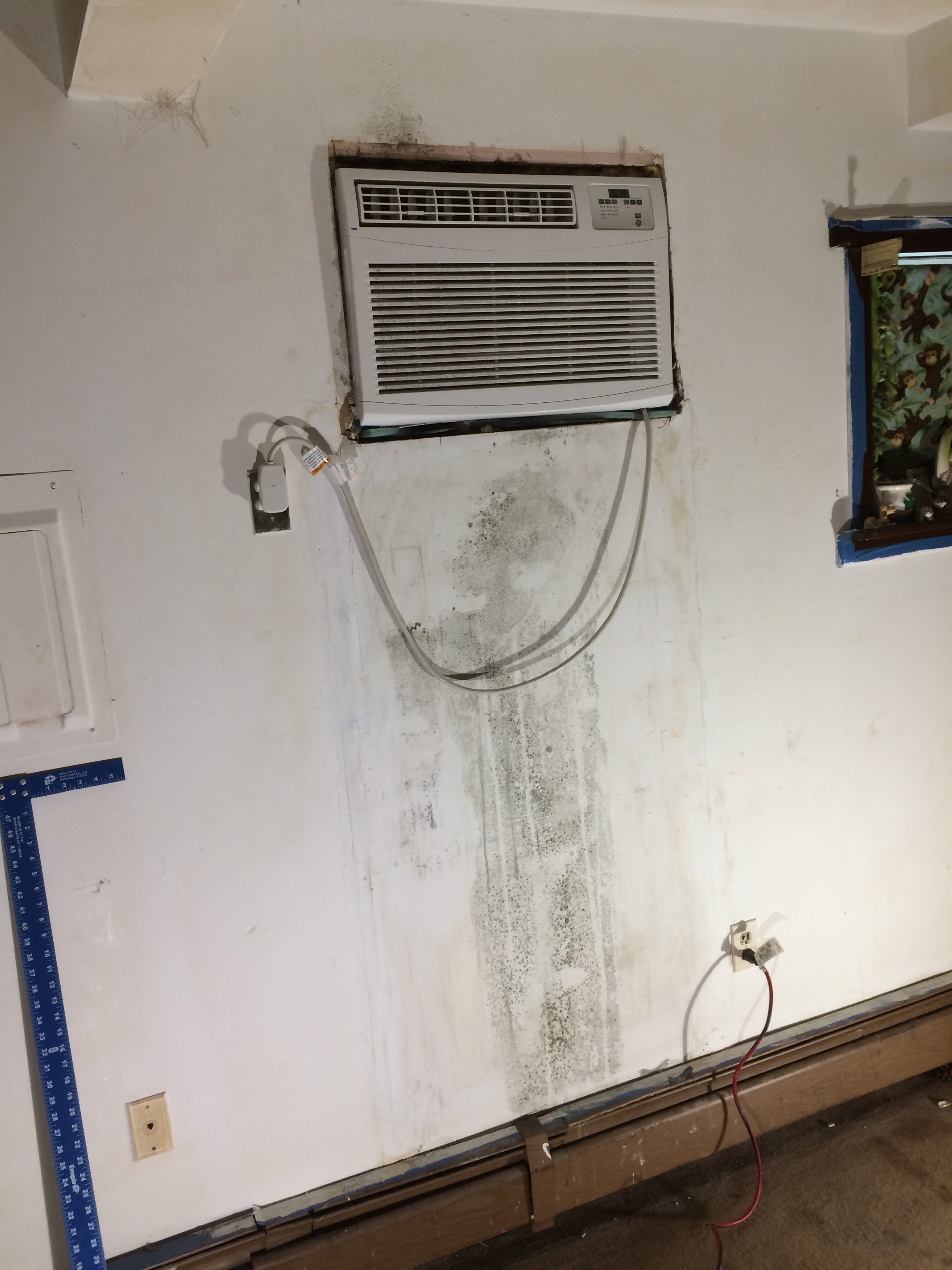 unaddressed water leaks cause mold