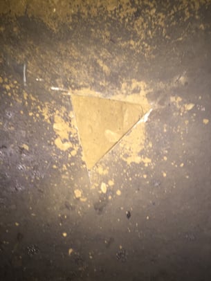 soil sampling coupon cut in bottom of tank