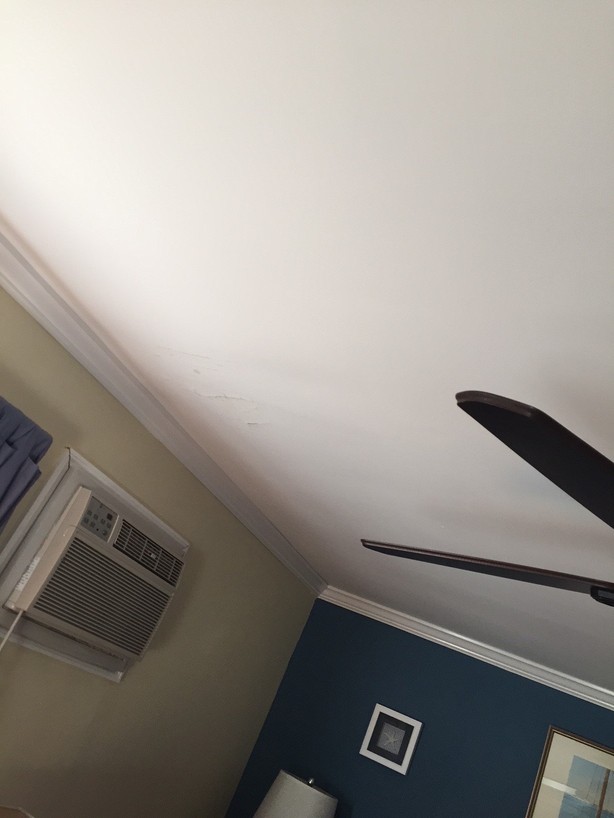 Mold behind wall