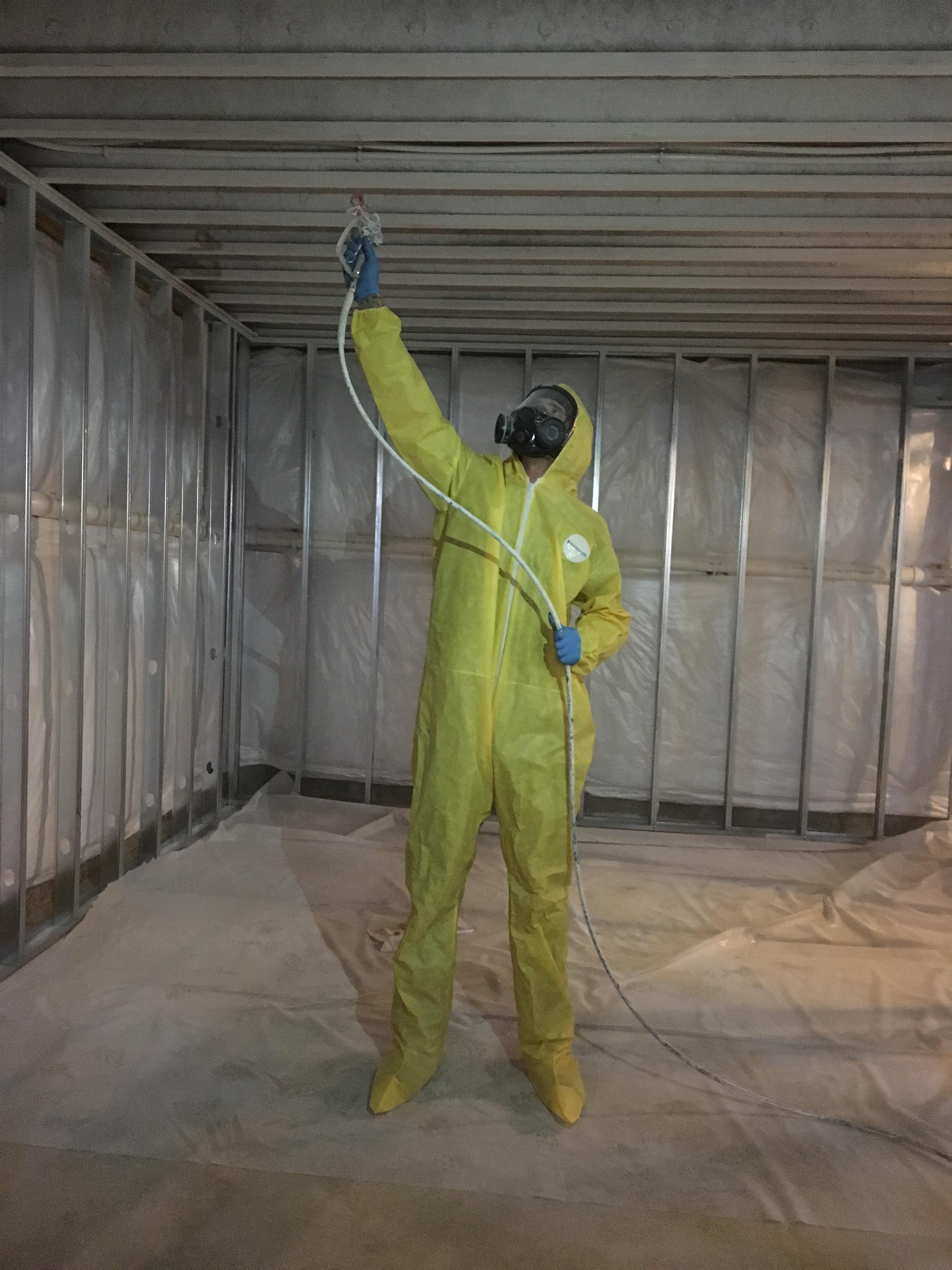 How do you remediate mold