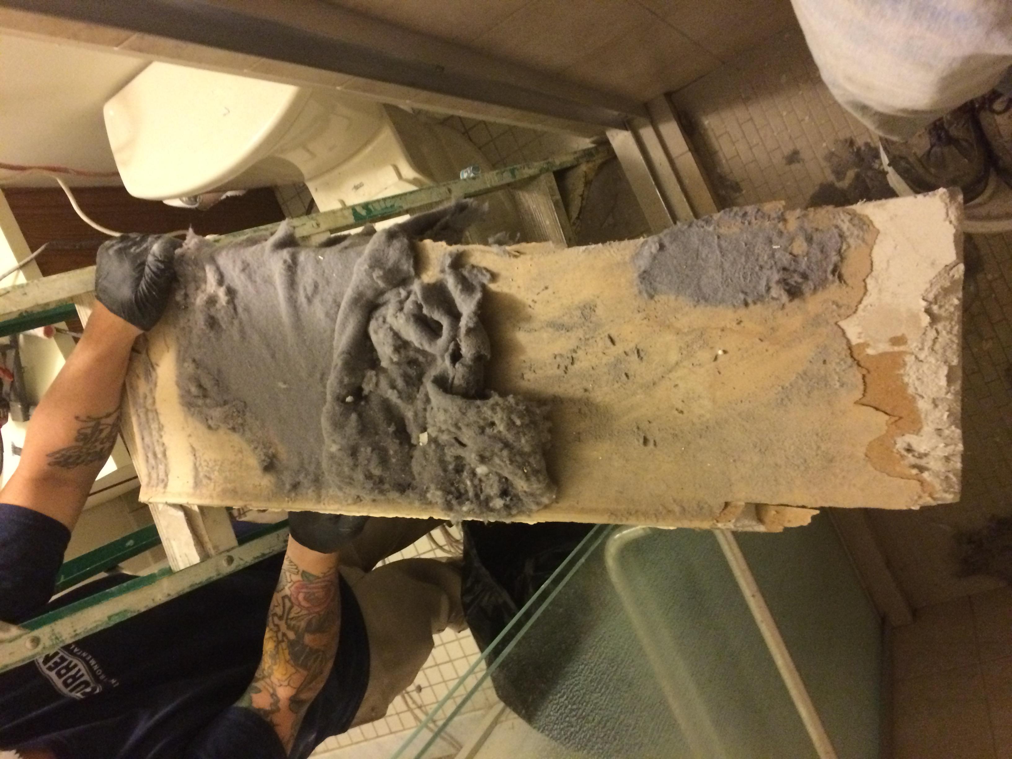 Condo mold inspection