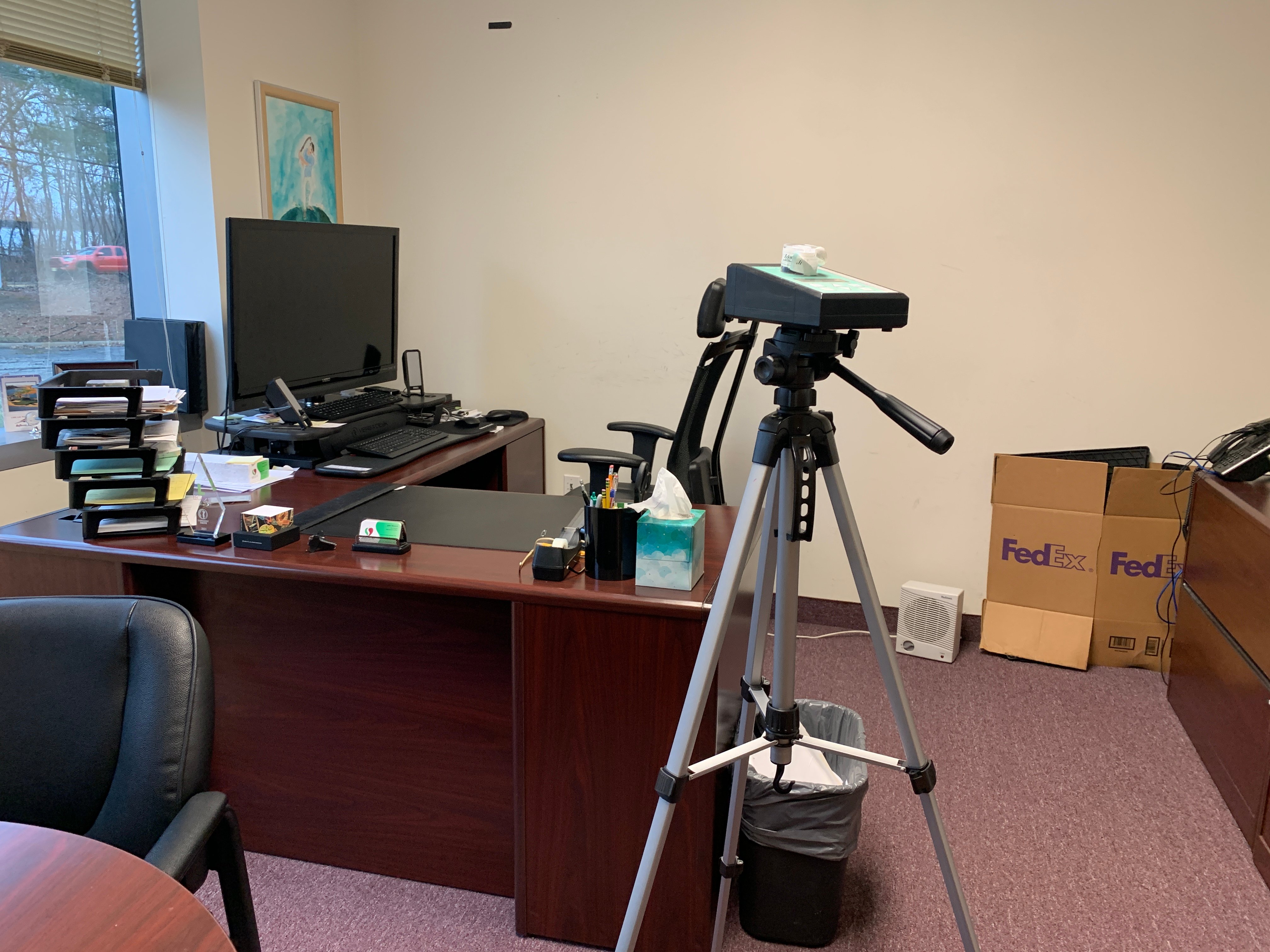 do I need mold remediation?