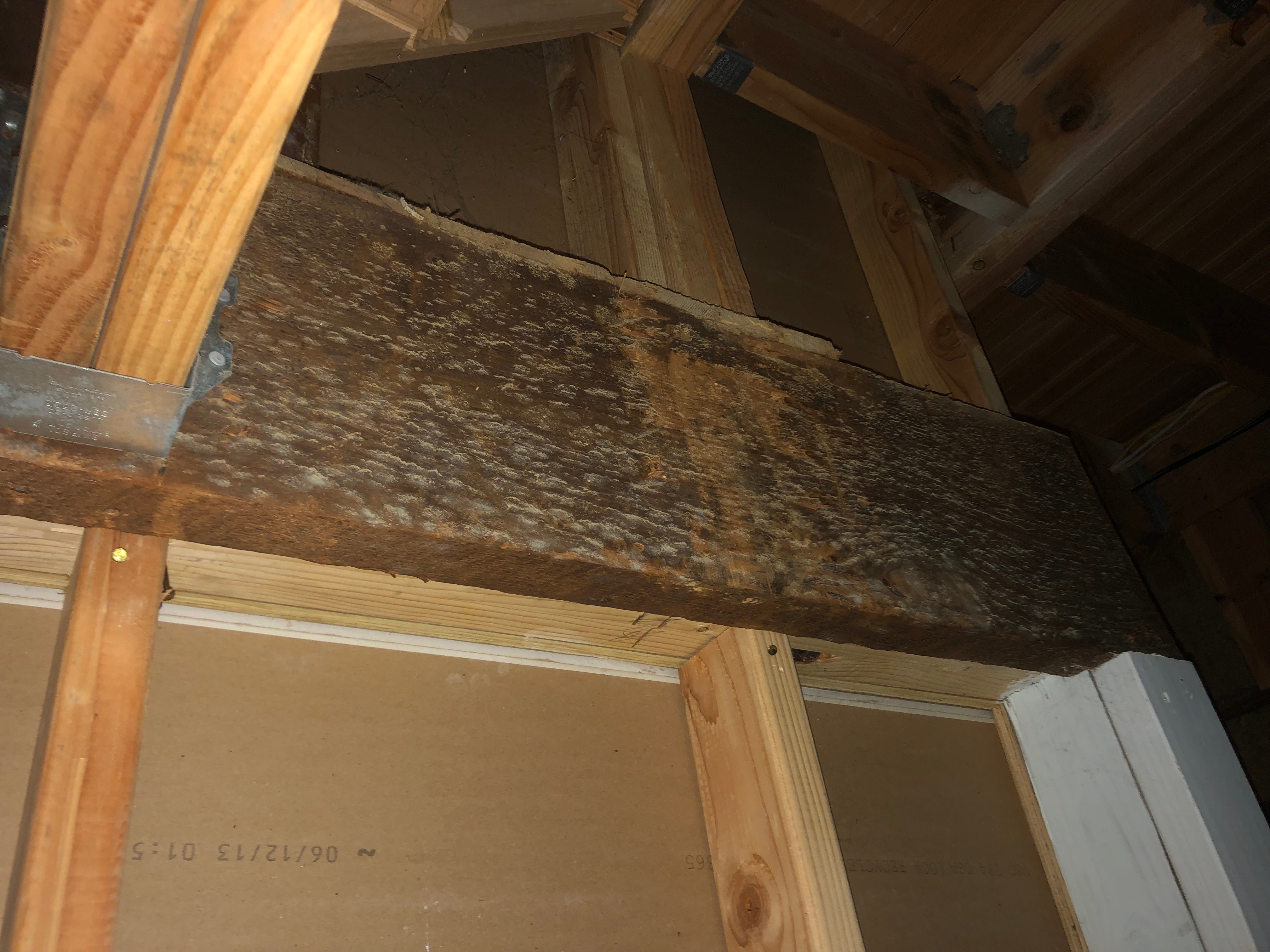 Mold inspections