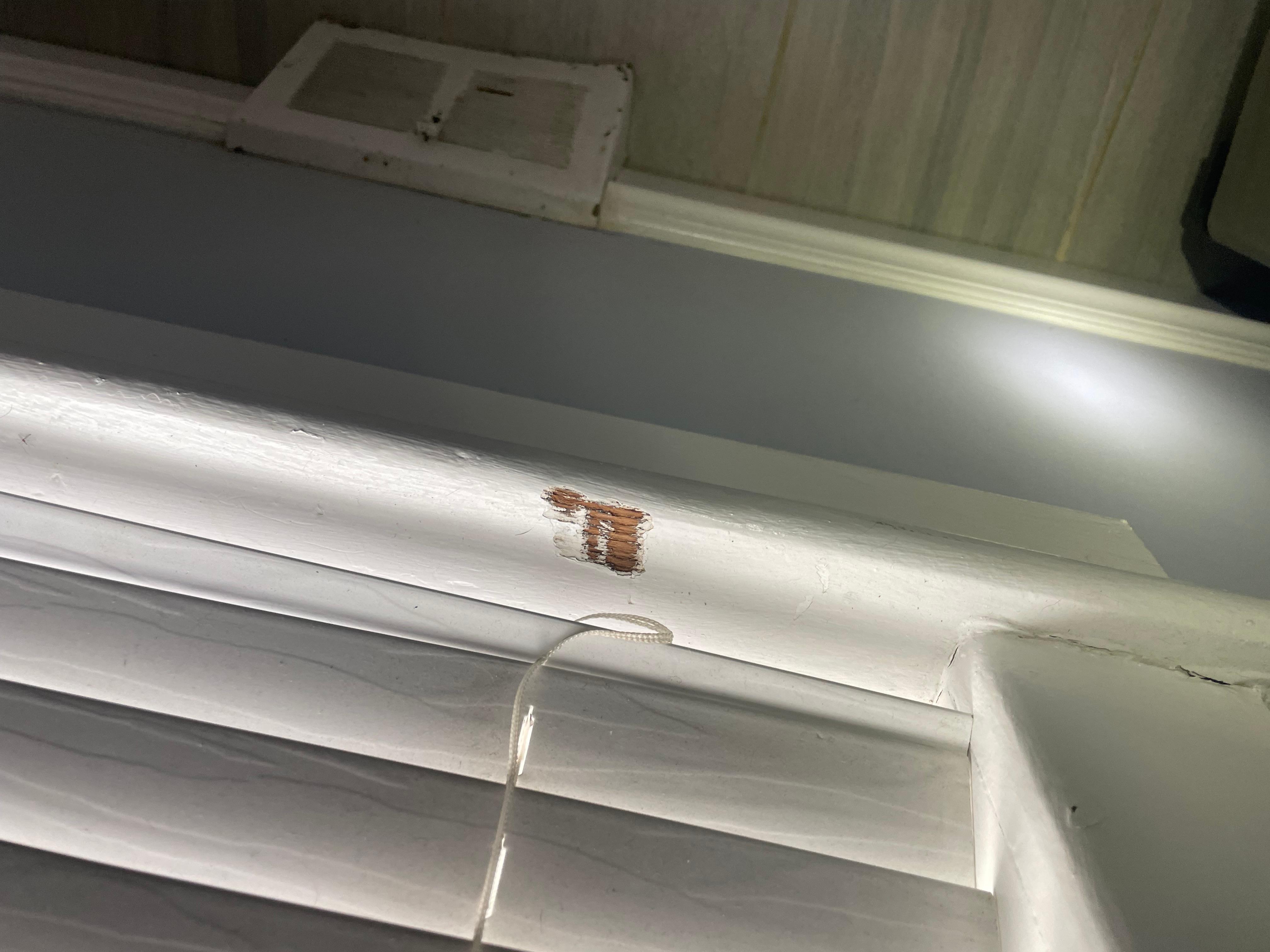 what is a lead paint fail?