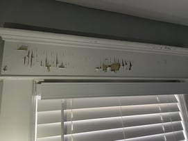 Managing Lead Paint in Your Home