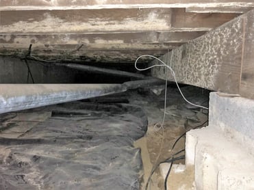 Crawlspace mold