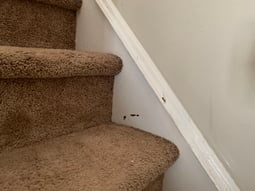 lean inspection NJ