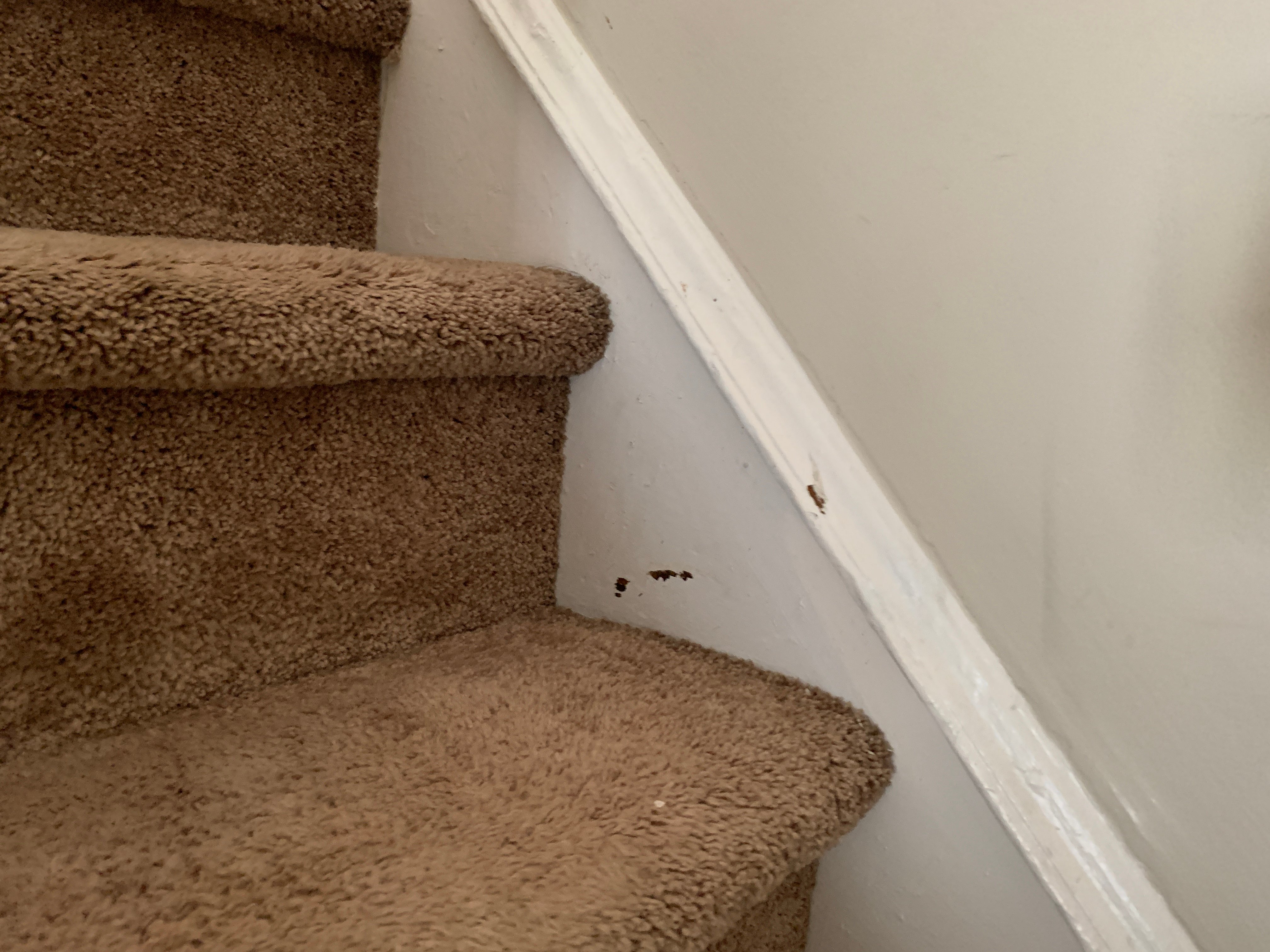 lean inspection NJ