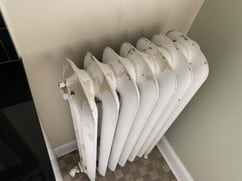 new jersey lead inspection