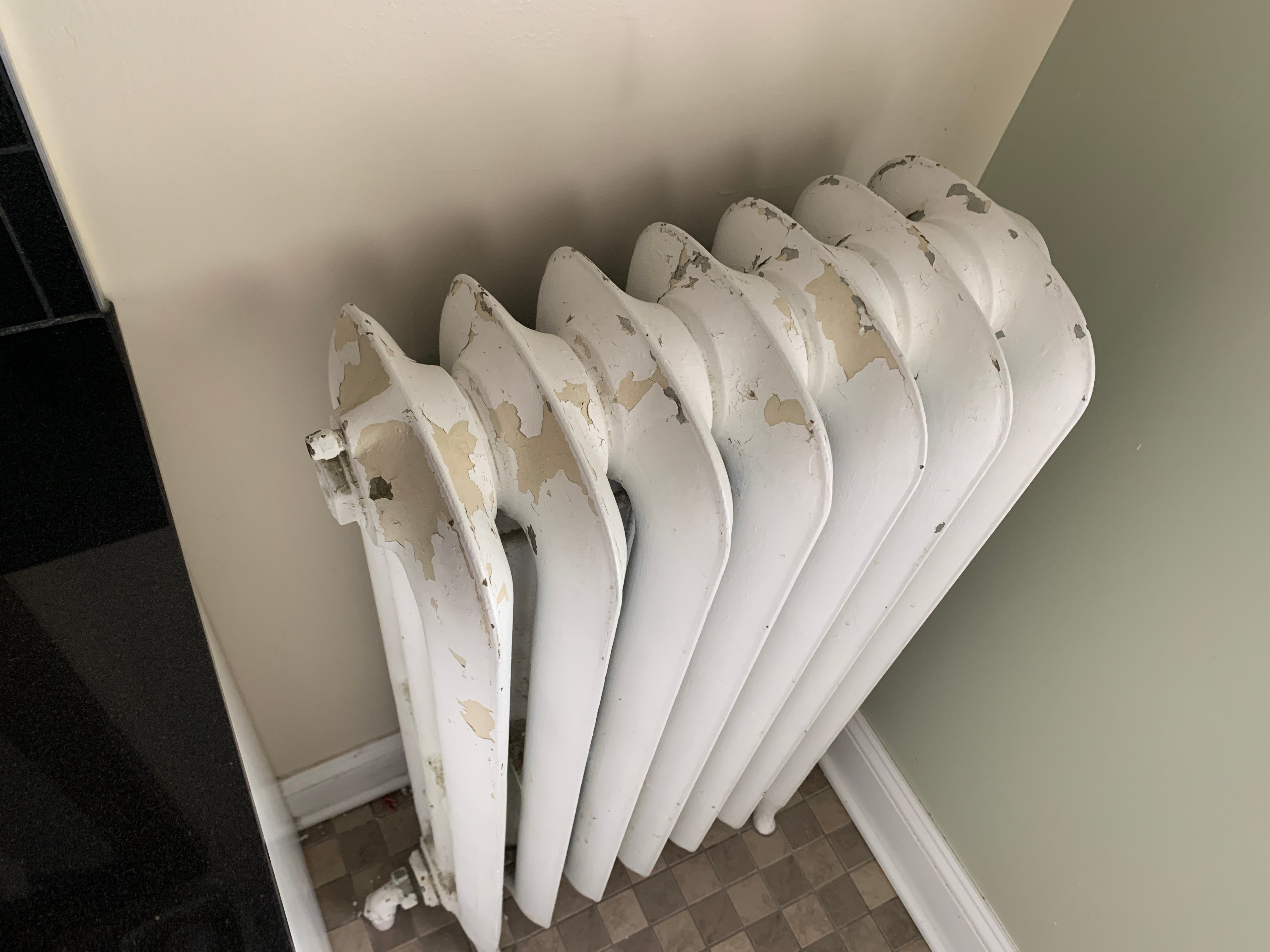 new jersey lead inspection