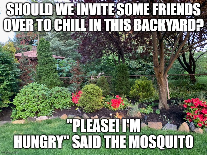 Im Hungry said the mosquito
