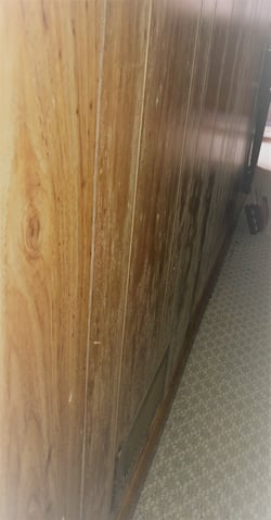 Mold growth on wood paneling