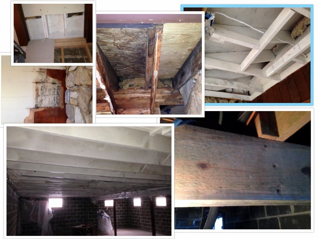 Mold Inspection New Jersey DE PA