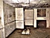 Mold_in_Basement3-424194-edited